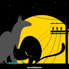 Кошки-блошки