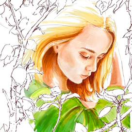 Сосновая крепость