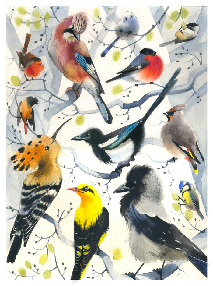 Разнообразие видов