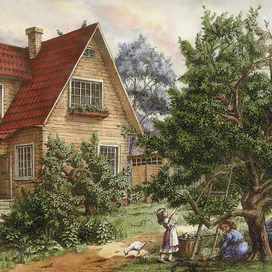 Сборъ яблокъ в д.Кабаново