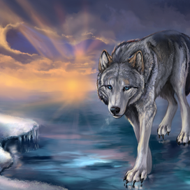 Прогулка по льду