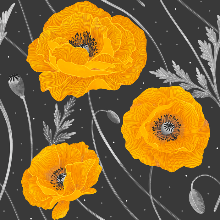 Yellow poppy