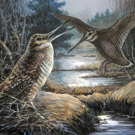 Звали ? Я здесь ..!!!