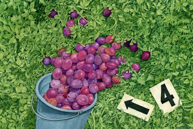 Улика номер четыре