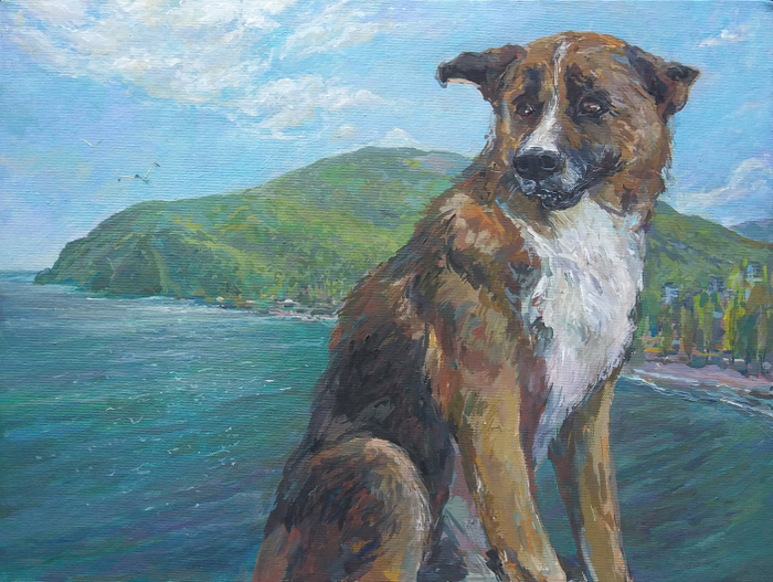 Собака и море