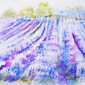 Лавандовое поле