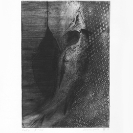 Летучая рыба