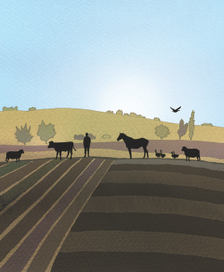 иллюстрация к сборнику сказок 5