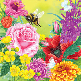 Цветочная азбука (цветы)