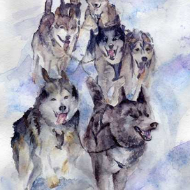 "Coбака человеку друг"