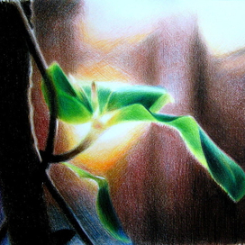 Пробуждение