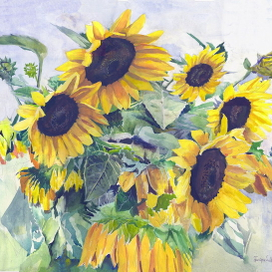 Подсолнухи