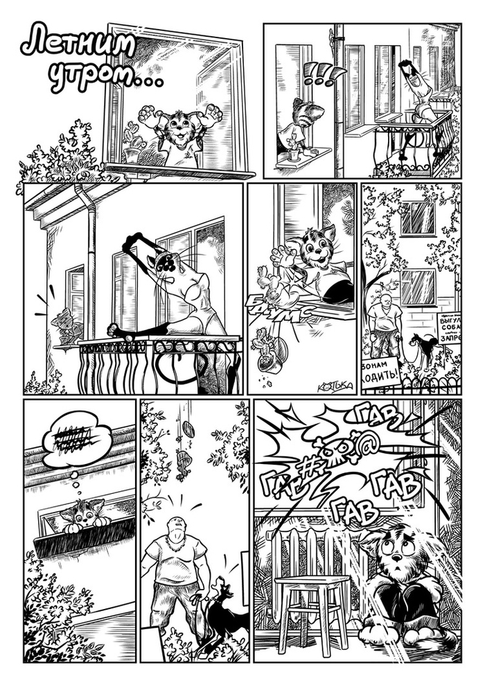 Котька. Летним утром