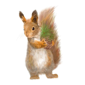 Белка с шишкой