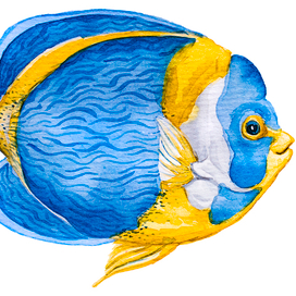 Blue fish