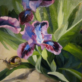 Лиловые ирисы