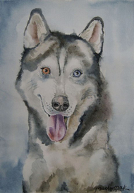 Husky