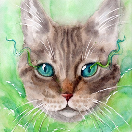 Кошачья магия