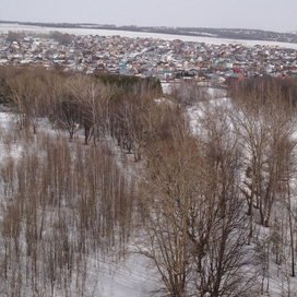 Ноксинский Лес Восток