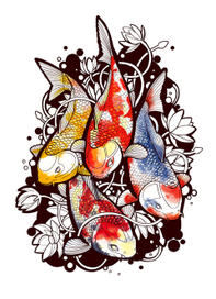 Koi fishes