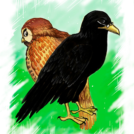 Сова и ворон