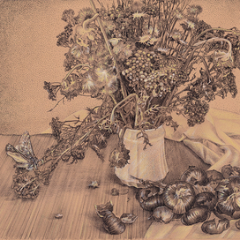 Пижма, лук и мотыль