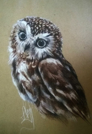 Милый сычик 