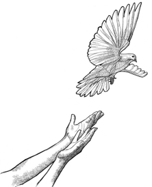 голубьвзлетающийсруквясныйпогожийдень