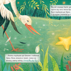  "Как аист звездочку нашел"