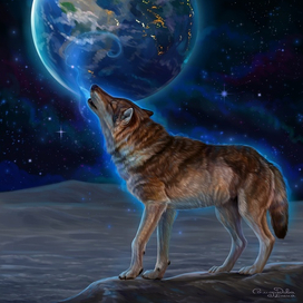 Волк воет на Землю