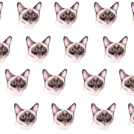 принт сиамский кот