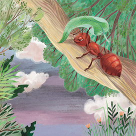 Кто как спит. Издательство Робинс