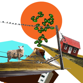 Аппликация коллаж