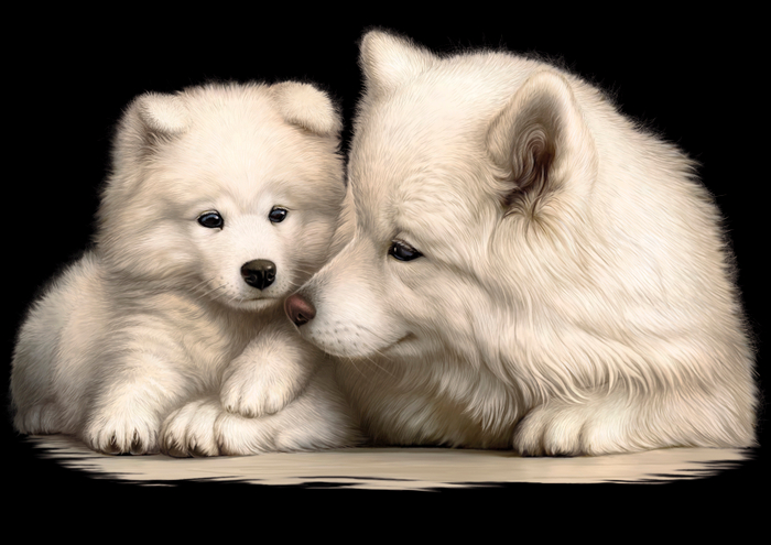 семейство пушистых