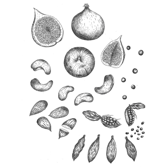 Ботаника для дизайна упаковки