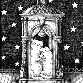 Котеньки в Питере