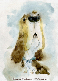 Серия акварельных собак: Бассет-хаунд