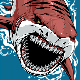 Тигровая акула