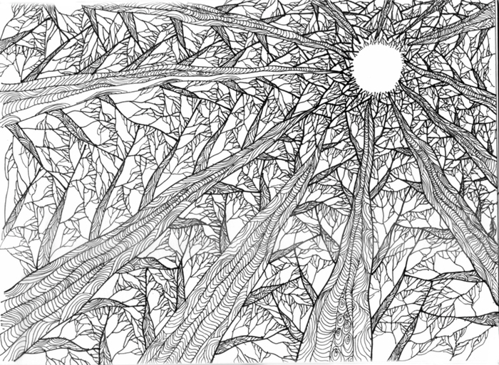 Деревья зимние