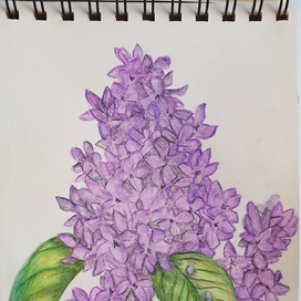 Волшебство запаха