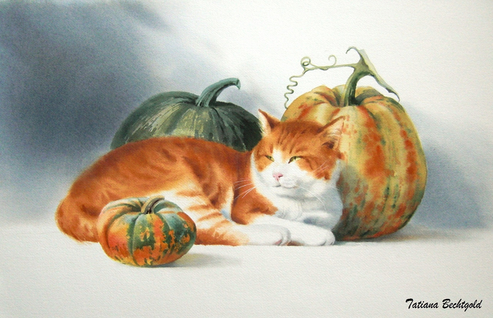 На солнышке