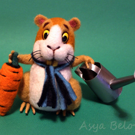 Морской свин