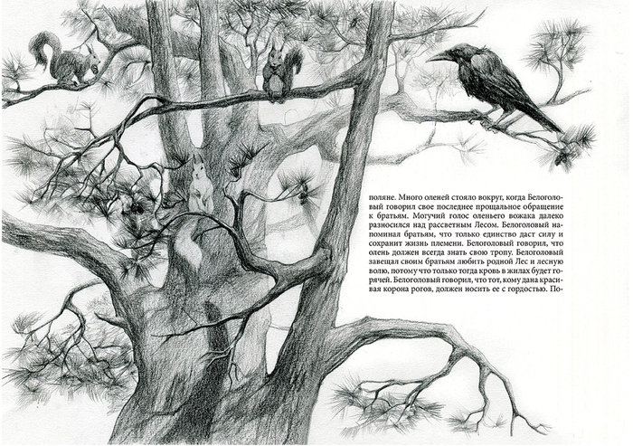 Иллюстрация к книге В. Потиевского  "Утес белой совы"
