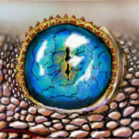 Глаз ящерки