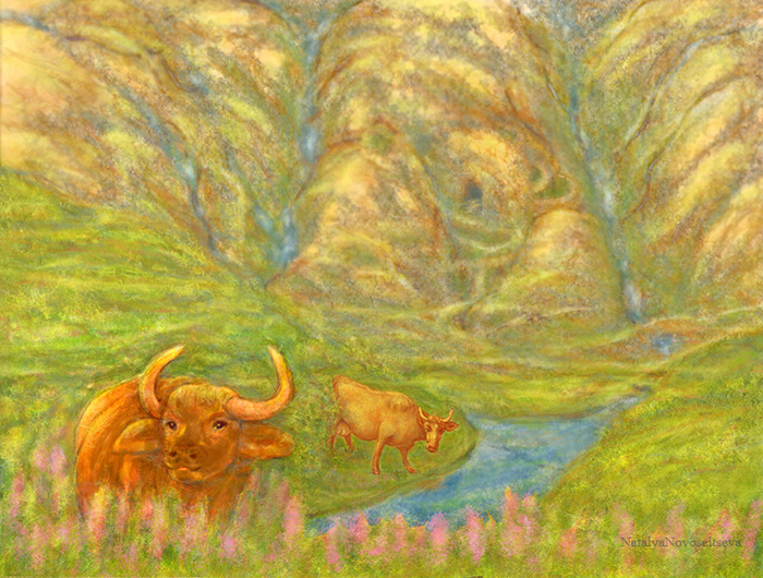 ЗАЛИВНЫЕ ЛУГА