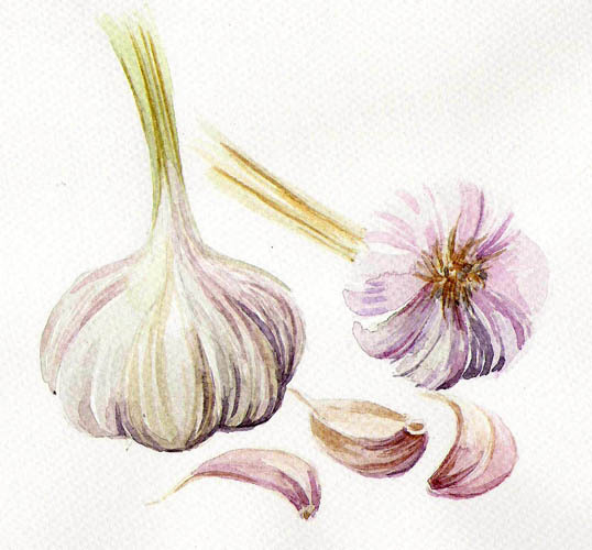 чеснок