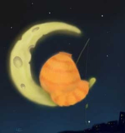 кот и луна