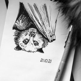 Летучая лисица