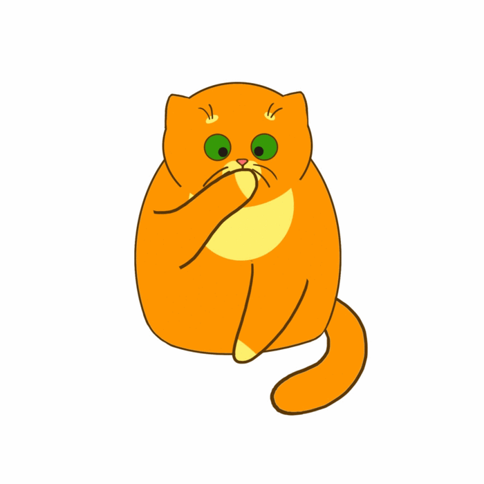 котик умывается