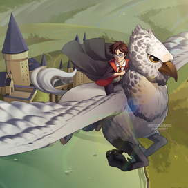 Гарри Поттер на гиппогрифе 